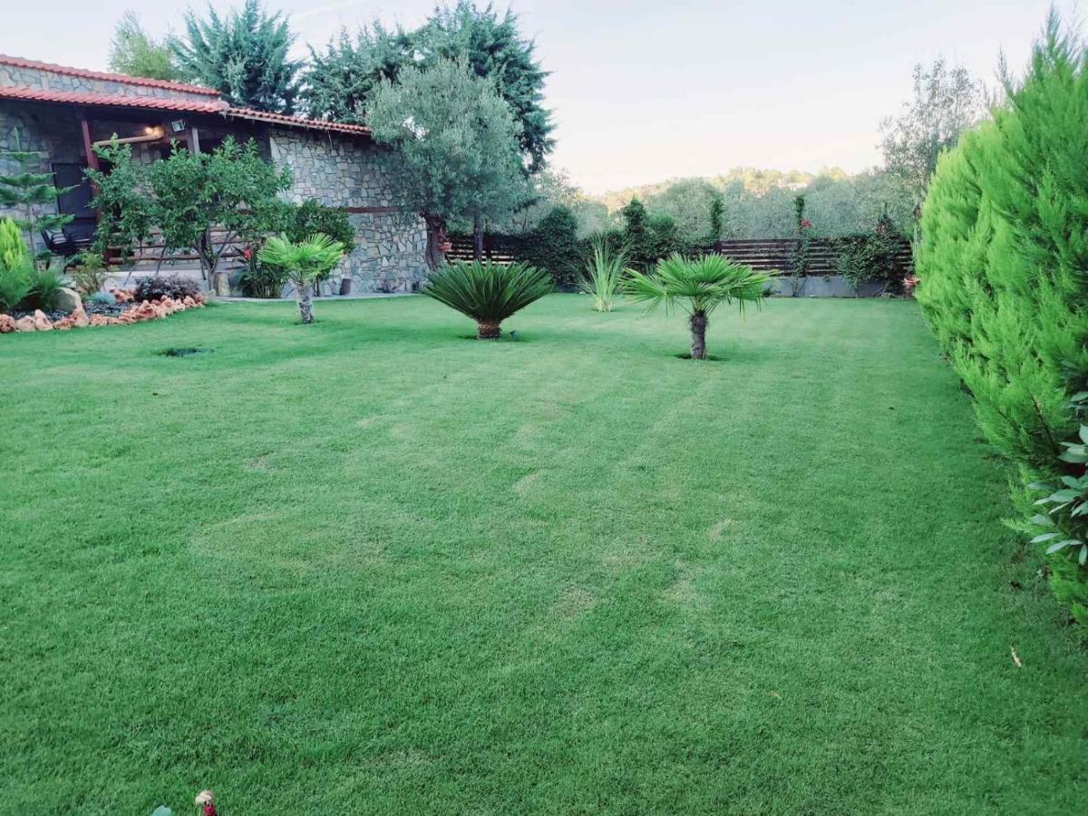 Dimitris Villas - Villa 4 Órmosz Panajász Kültér fotó